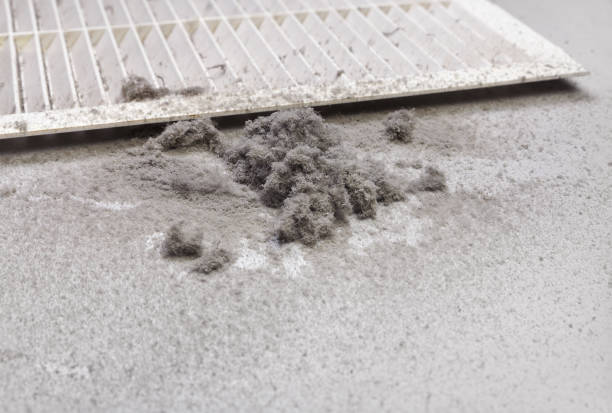 Best HVAC System Cleaning  in Lmar, DE